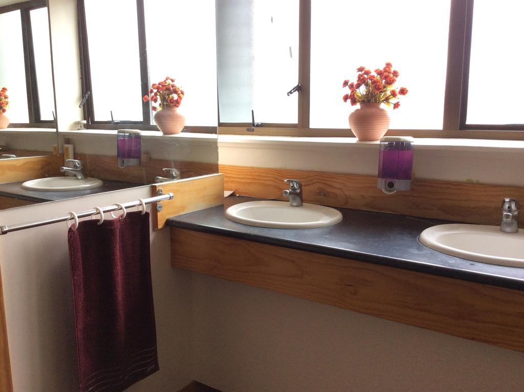 Auberge de jeunesse Wild Zebra Backpackers à Wellington Extérieur photo