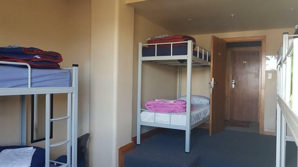 Auberge de jeunesse Wild Zebra Backpackers à Wellington Extérieur photo